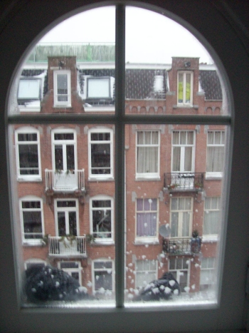 Amsterdam winter with pigeons on windowsill