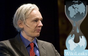 Julian Assange, Wikileaks founder