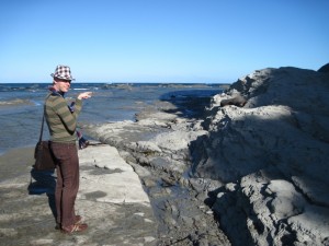 SealsAtKaikouraSealAreaNewZealand1 Andrew J. Wharton points out seal at Kaikoura, New Zealand