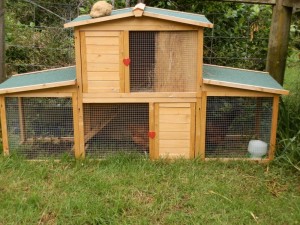 ChookHouse Chook house, Chicken House in New Zealand